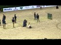 International horse show (dog run)