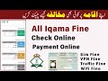 How To Check All Iqama Fine In Saudi Arabia Iqama Violation Check Online Iqama Mokhalfa Check