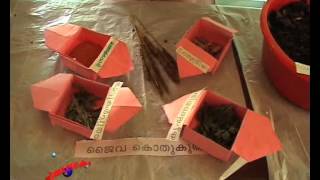 Kerala school Sasthramela 2010 (PART 29)