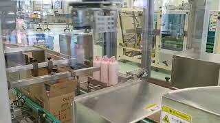 RPM Packaging Machinery - RPM Top Load Robotic Case Packer - 6 x Plastic Bottles