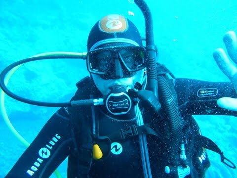Видео: Предварительные шаги, если вы хотите начать нырять с аквалангом
