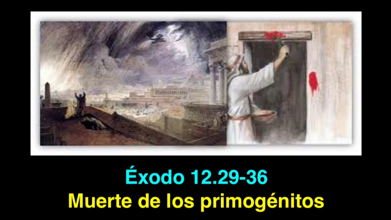 Éxodo 12. 29- 36: La muerte de los primogénitos - YouTube