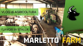 🇮🇹 **MARLETTO FARM** | I lavori in stalla | Vlog di Agricoltura