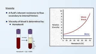 Viscosity and Turbulence