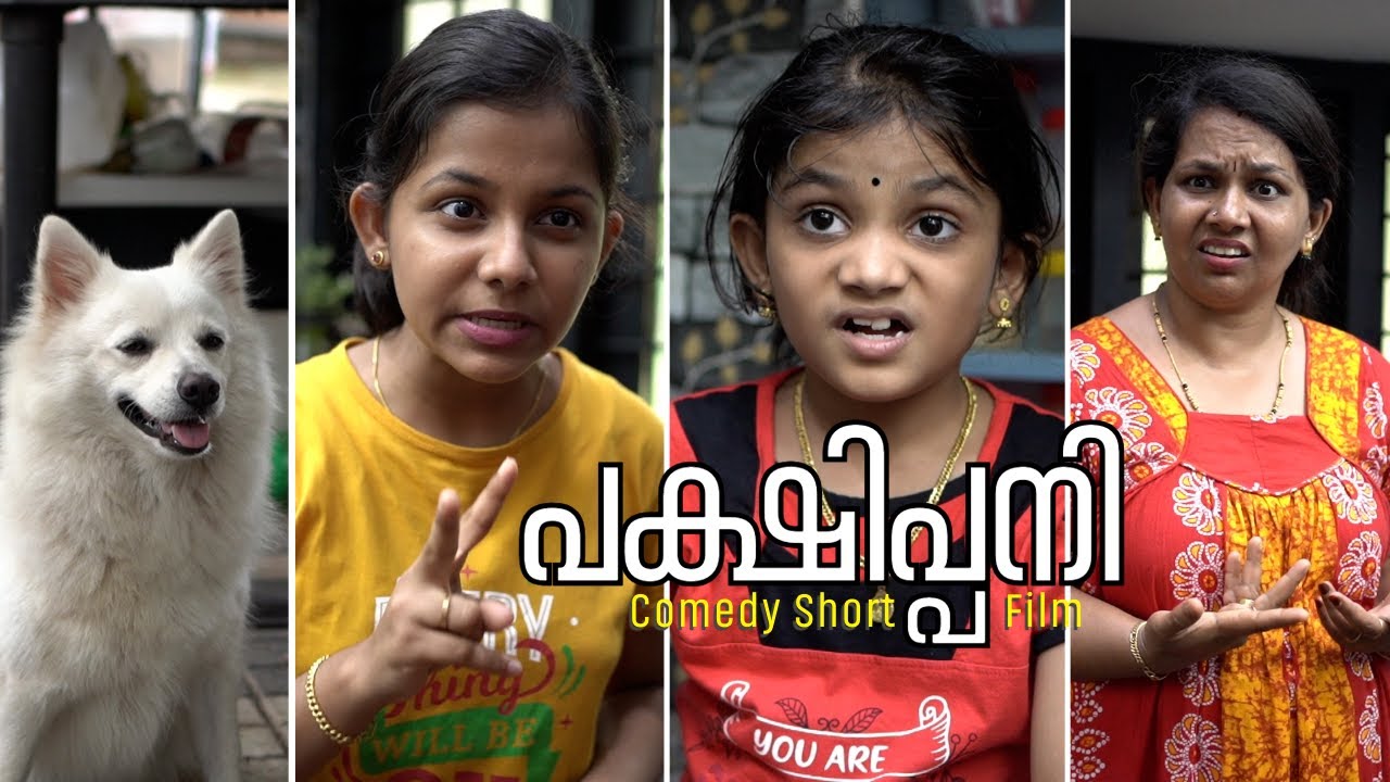 പക്ഷിപ്പനി | The Bird Fever | Comedy Short Film | LLN Media