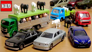 トミカ改造車両運搬車 Mp3