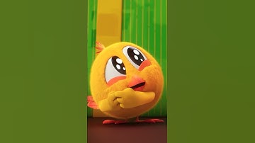 SHORTS CHICKY 🐥 YES OR NO? | Where