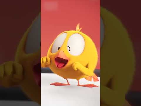 SHORTS CHICKY 🐥 YES OR NO? | Where's Chicky #shorts