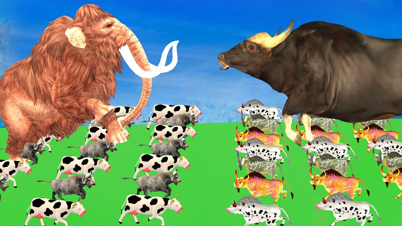 5 Giant Indian Bison Bull Tiger vs 5 Giant Mammoth Elephant Fight Baby Elephant Cow Saved By Mammoth