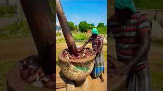 Asà se hace el aceite de coco #curiosidades Asà se hace el aceite de coco #curiosidades
