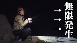 【対馬】魚が大量発生している夜堤防で釣りをしたら入れ食いだった【九州釣り旅】#3