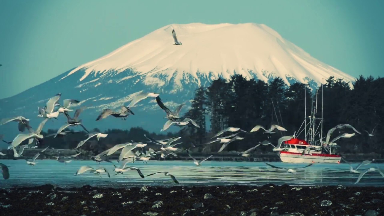 Video - shooting and Post production (sound, SFX, color correction)