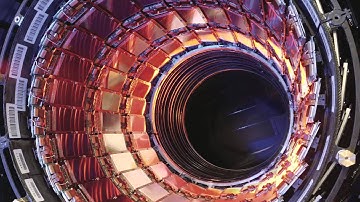 Nicholas Sailer: Nicholas Sailer - Language