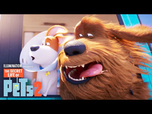 The Secret Life of Pets 2 | Max and Duke Go on a Road Trip! class=