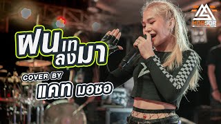 ฝนเทลงมา | รถแห่รถยู้ | แคท มอซอ | Cover แสดงสด 4K chords