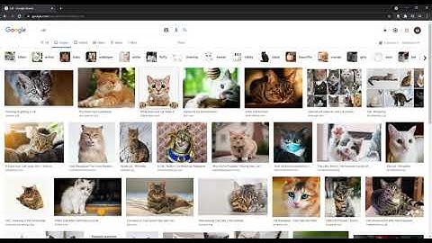 Search - CS50’s Web Programming with Python and JavaScript