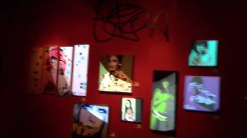 Orlando projection mapping workshop