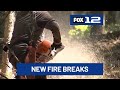 Washington state works to protect White Salmon from wildfires with fuel break project