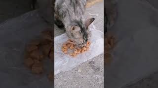 İyilik Herkese Yayılıyor Güzel Insanlara Selam