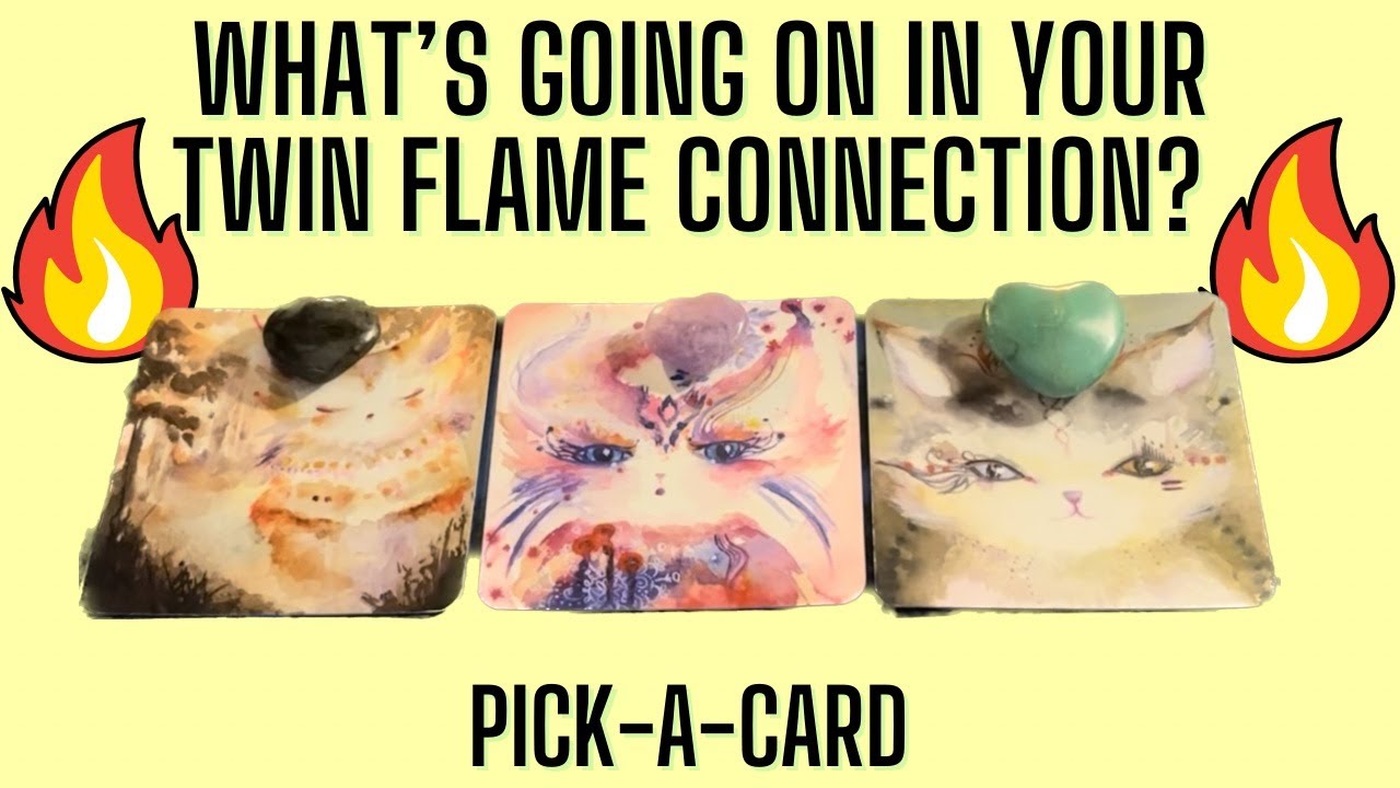 🔮 ️ What’s going on in your Twin Flame connection 🌙PICK-A-CARD🔮TIMELESS ...