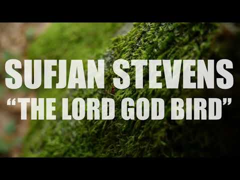 Sufjan Steven &quot;The Lord God Bird&quot; (AUDIO)