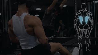 Close Grip Seated Cable Row