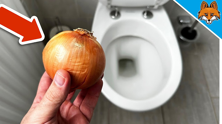 Putze deine Toilette mit einer Zwiebel und STAUNE WAS PASSIERT💥(Genialer Trick)🤯