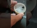 How to make a RGB #experiment #diy