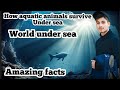 How aquatic animals survive in water || aquatic animals respiration process || Amazing facts ||