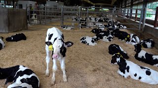 CVTC | Animal Science Management