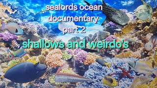 sealords ocean documentary part 2 shallows and weirdos