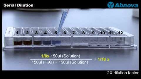 Serial Dilution
