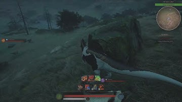 Cera family hunts Amarg