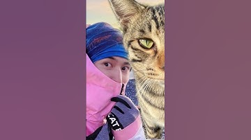 ZZH + Meow【同行 On a Journey Together】#張哲瀚 #zhangzhehan