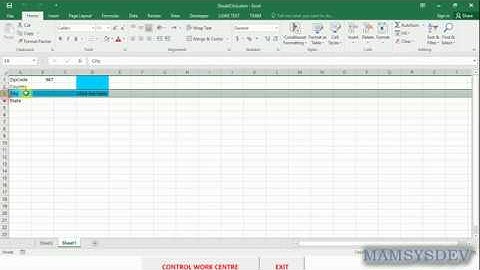 VBA Excel Double Click