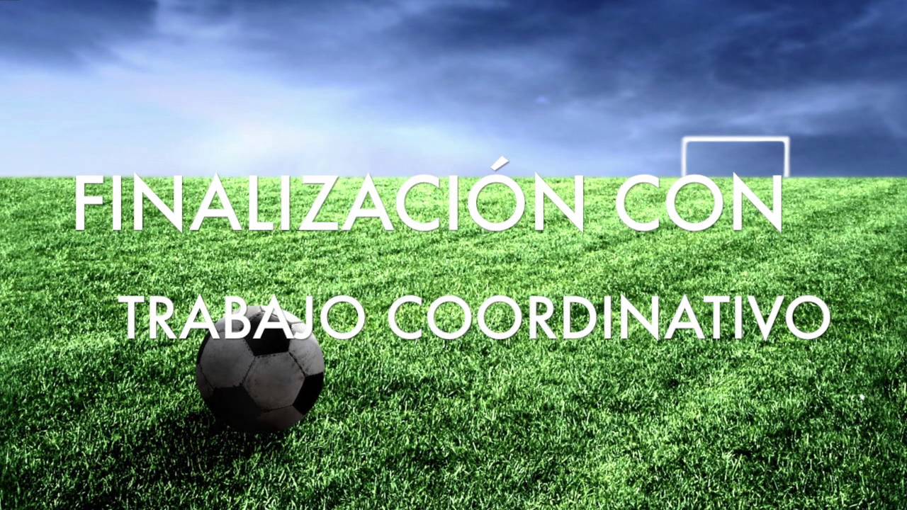 Juan Carlos Garrido    Finalizaciones