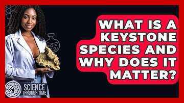 What Is A Keystone Species And Why Does It Matter? - Science Through Time