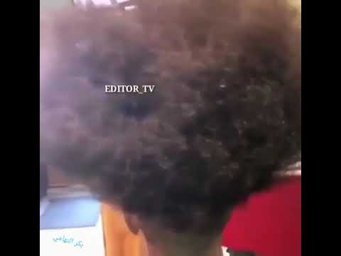 شجرة الغاف هههههههههه شاهد لايفوتك المقطع