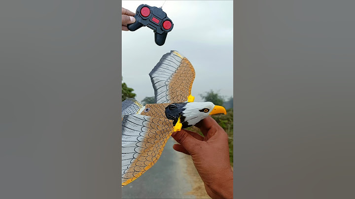 My new rc electric flying bird