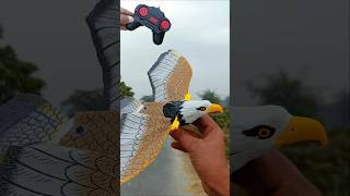 My New Rc Electric Flying Bird