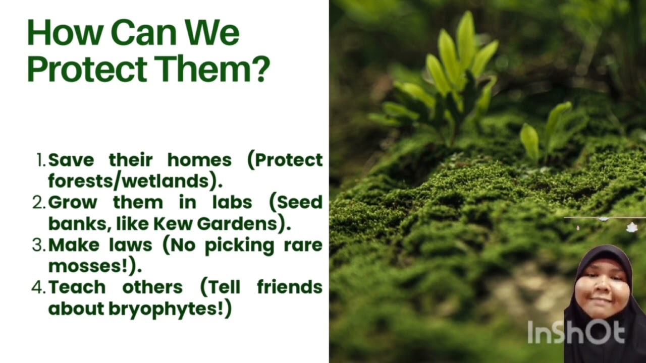 THREAT, CONSERVATION AND RECOMMENDATION BRYOPHYES