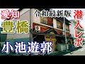 今も現役！愛知県・豊橋市【小池遊郭】潜入レポート【営業確認】【Downtown Japan】