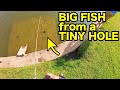 Try this insane urban fishing trick it works