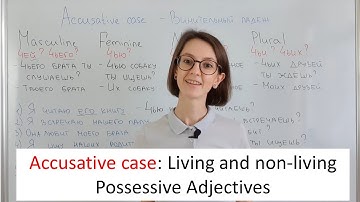 Accusative case in Russian. Possessive Adjectives