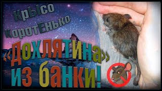 Спасение | Спасение |