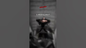 EVERY Alien found in Bear (Alpha)! #bearalpha