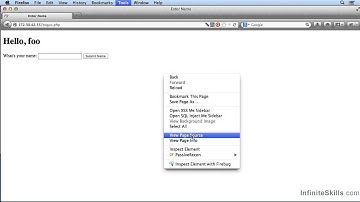06 14 Hacking and Penetration - Hidden Form Fields