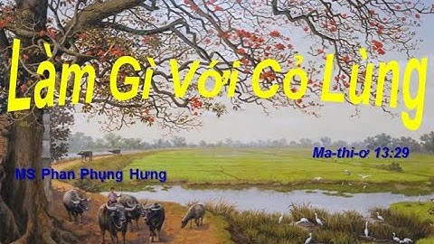 20211114 LÀM GÌ VỚI CỎ LÙNG - MS Phan Phụng Hưng | KT: Ma-thi-ơ 13:26-30, 36-43 CG: Ma-thi-ơ 13:29