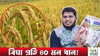 কোনটি করবেন? ধানচাষ ও হতে পারে অধিক লাভজনক! ভিয়েতনামী স্মিতা ৯৯, স্মিতা ১০০ ও ফাতেমা ধান চাষ পদ্ধতি।