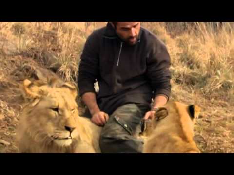 Vídeo: Patrimoni net de Kevin Richardson: Wiki, Casat, Família, Casament, Sou, Germans